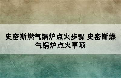 史密斯燃气锅炉点火步骤 史密斯燃气锅炉点火事项